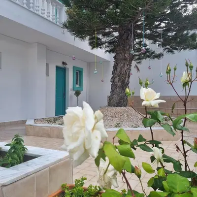 a garden with white flowers and a tree at Arocaria Apartment in Faliraki with garden , mountain and sea view in Faliraki