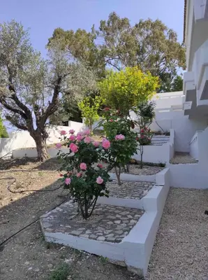 a group of stairs with pink flowers on them at Arocaria Apartment in Faliraki with garden , mountain and sea view in Faliraki