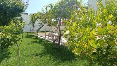 a garden with trees and a table in the grass at Kristallia - Kattavia surf houses in Kattavía