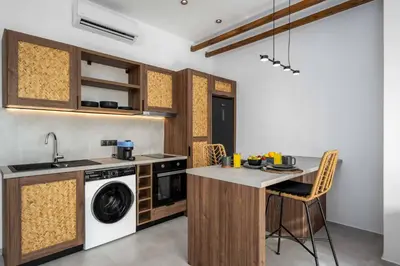 a kitchen with a washer and a sink and a dishwasher at Villa Kiotari Sky in Kiotari