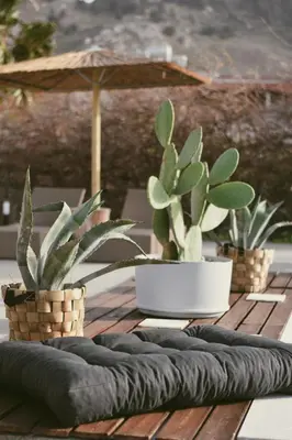 two potted plants on a wooden table with an umbrella at LA Casa Di Lusso Casa N1 Adults Only in Kolimbia