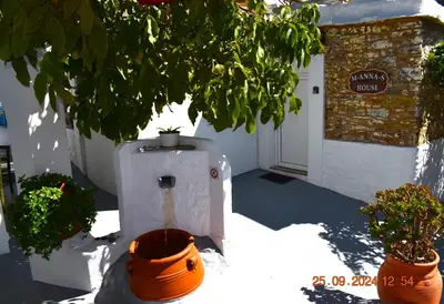 a house with a water fountain with two potted plants at Mannas House 2 in Émbonas