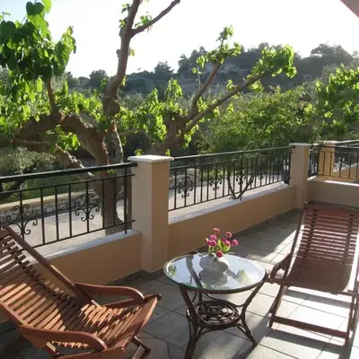 Athina's Apartment in Olive Grove