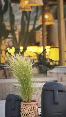 two black chairs and a plant in a basket at LA Casa Di Lusso N5 - Adults Only in Kolimbia