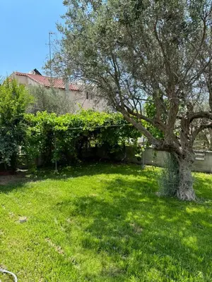 a green yard with a tree and a building at Fotis House 2 in Afantou